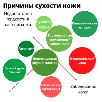 кожа, уход за кожей, сухоть кожи, увлажнение кожи, Радевит